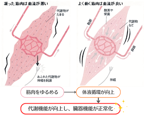 LHJメソッド概念